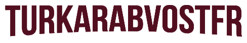 TurkArabVOSTFR